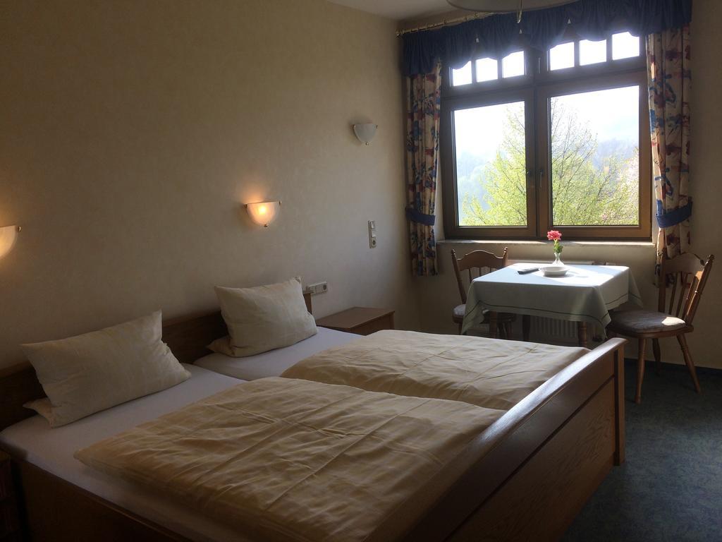 Moselhotel Lesura Lieser Buitenkant foto