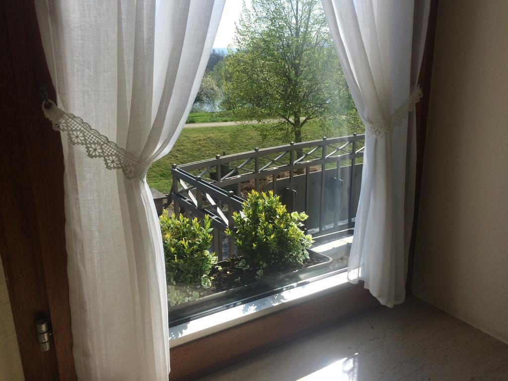 Moselhotel Lesura Lieser Buitenkant foto